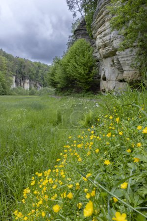 Téléchargez les photos : Réserve naturelle Udoli Plakanek près du château de Kost, Bohême orientale, République tchèque - en image libre de droit