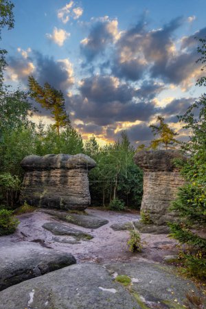 Téléchargez les photos : Paysage dans une réserve naturelle Broumovske steny, Bohême orientale, République tchèque - en image libre de droit