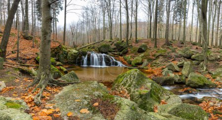 Téléchargez les photos : Cascade de Maly Stolpich, buciny de Jizerskohorske, site UNESCO, Bohême du Nord, République tchèque - en image libre de droit
