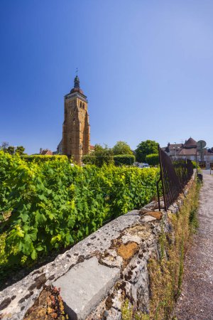 Photo for Vineyards with Arbois church, Department Jura, Franche-Comte, France - Royalty Free Image