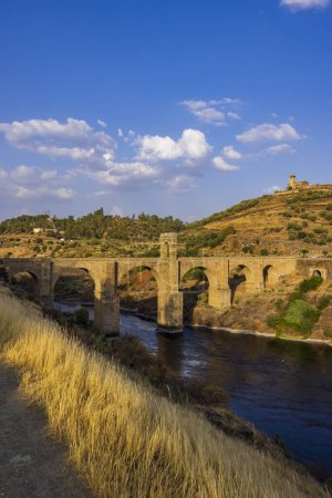 Téléchargez les photos : Pont d'Alcantara (Puente de Alcantara) Pont romain, Alcantara, Estrémadure, Espagne - en image libre de droit