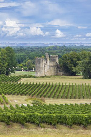 Téléchargez les photos : Château de Budos dans la région viticole de Sauternes, département de la Gironde, Aquitaine, France - en image libre de droit