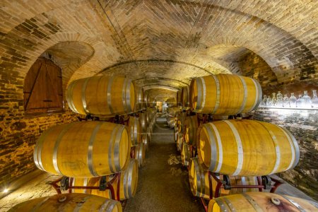 Foto de Wine cellar in Castello di Razzano, Piedmont, Italy - Imagen libre de derechos