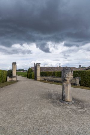 Photo for Chateau d Yquem, Sauternes, Bordeaux, Aquitaine, France - Royalty Free Image