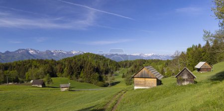 Foto de Typical wooden log cabins in Gorjuse, Triglavski national park, Slovenia - Imagen libre de derechos