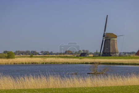 Foto de Old windmill near Alkmaar, The Netherlands - Imagen libre de derechos