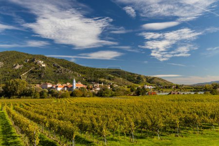 Foto de Valle de Wachau cerca de Durnstein, sitio de la UNESCO, paisaje con viñedos, Austria - Imagen libre de derechos