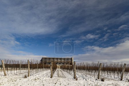 Foto de Paisaje invernal cerca de Popice, Moravia del Sur, República Checa - Imagen libre de derechos