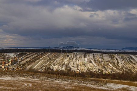 Foto de Viña de invierno cerca de Mutenice, Moravia del Sur, República Checa - Imagen libre de derechos