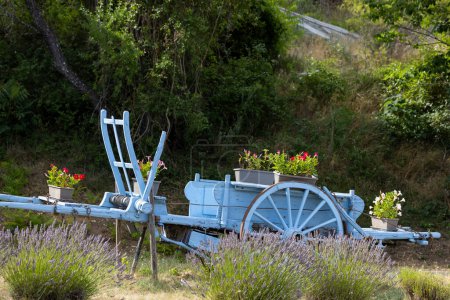 Téléchargez les photos : Chariot en bois bleu avec lavandes en Provence, France - en image libre de droit