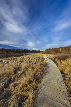 Foto de Reserva natural Olsina, Sumava National Park, República Checa - Imagen libre de derechos