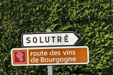Foto de Ruta del vino cerca de Solutre, Borgoña, Francia - Imagen libre de derechos