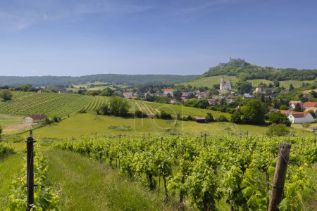 Téléchargez les photos : Falkenstein ruines et ville avec vignoble, Basse-Autriche, Autriche - en image libre de droit