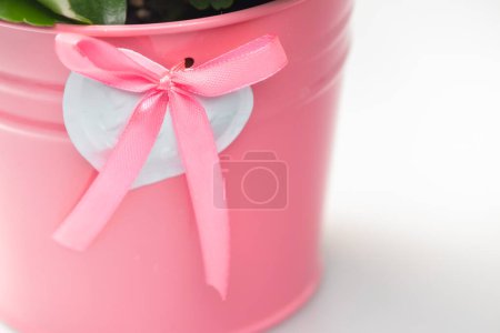 Téléchargez les photos : Détail du pot de fleurs avec coeur blanc et ruban rose - en image libre de droit
