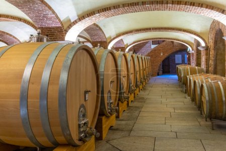 Foto de Wine cellar in Piedmont, Italy - Imagen libre de derechos
