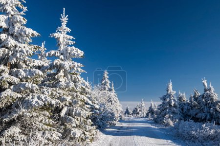 Foto de Paisaje invernal cerca de Velka Destna, Montañas Orlicke, Bohemia Oriental, República Checa - Imagen libre de derechos
