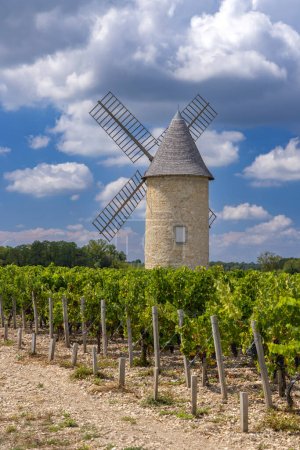 Foto de Viñedos con molino de viento Lamarque, Haut-Medoc, Burdeos, Aquitania, Francia - Imagen libre de derechos