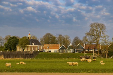 Téléchargez les photos : Ancienne île de Schokland, site du patrimoine mondial de l'UNESCO, Pays-Bas - en image libre de droit