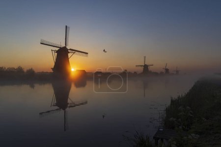 Foto de Molinos tradicionales holandeses con un cielo colorido justo antes del amanecer en Kinderdijk, Países Bajos - Imagen libre de derechos