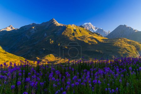 Téléchargez les photos : Paysage près du Col du Petit-Saint-Bernard avec Mont Blanc, à la frontière entre la France et l'Italie - en image libre de droit