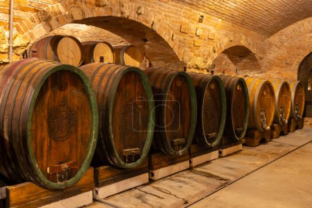 Foto de Wine cellars with barrels in Rakvice, Southern Moravia, Czech Republic - Imagen libre de derechos