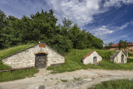 Foto de Bodega (Tufove pivnice), Velka Trna, País de Kosice, Región de Zemplin, Eslovaquia - Imagen libre de derechos