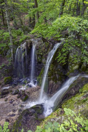 Téléchargez les photos : Hajsky waterfall, National Park Slovak Paradise, Slovakia - en image libre de droit
