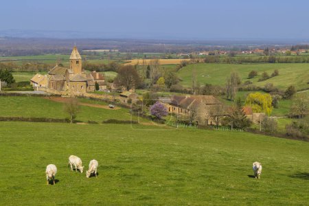 Téléchargez les photos : Paysage printanier avec vaches et eglise Notre Dame de Lancharre, Bourgogne, France - en image libre de droit