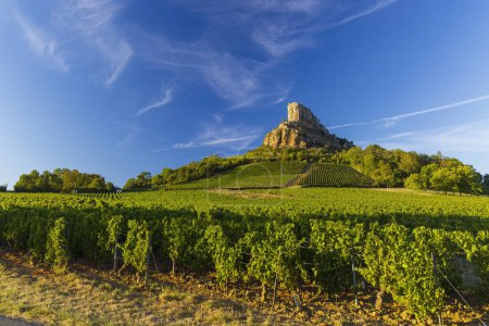 Roca de Solutre con viñedos, Borgoña, Solutre-Pouilly, Francia