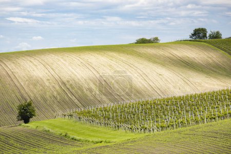 Photo for Landscape of Moravian Tuscany, Czech Republic - Royalty Free Image