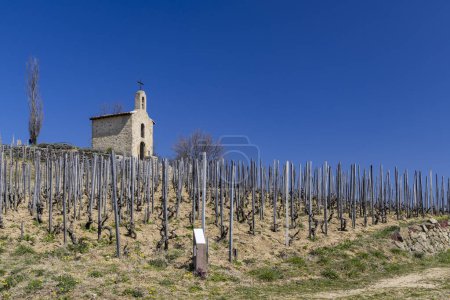 Foto de Grand cru vineyard and Chapel of Saint Christopher, Tain l'Hermitage, Rhone-Alpes, France - Imagen libre de derechos