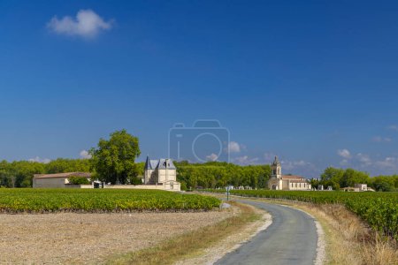 Téléchargez les photos : Vignobles près de Margaux (Château Margaux), Bordeaux, Aquitaine, France - en image libre de droit