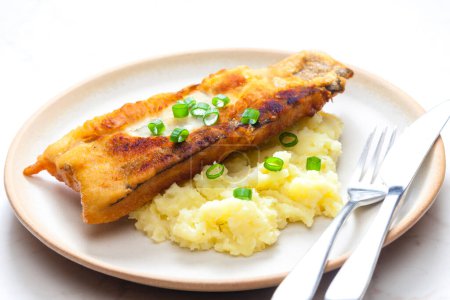 Photo for Fried fish with mashed potatoes and spring onion - Royalty Free Image
