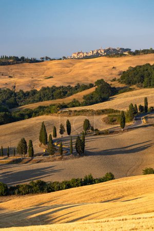 Téléchargez les photos : Cipressi di Monticchielo, Paysage toscan typique près de Montepulciano, Italie - en image libre de droit