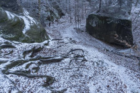 Téléchargez les photos : Paysage dans une réserve naturelle Broumovske steny, Bohême orientale, République tchèque - en image libre de droit