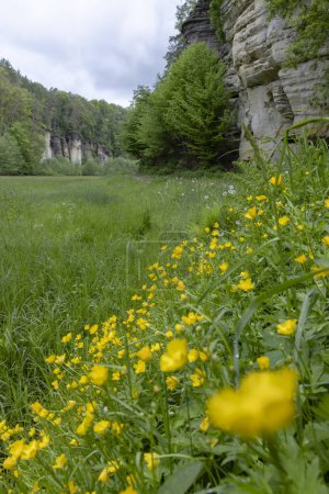 Foto de Reserva natural Udoli Plakanek cerca del castillo de Kost, Bohemia Oriental, República Checa - Imagen libre de derechos