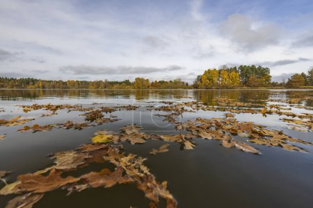 Téléchargez les photos : Étang d'automne près de Trebon, Bohême du Sud, République tchèque - en image libre de droit