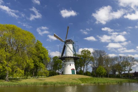 Photo for Windmill Hoop in Tholen, Netherlands - Royalty Free Image