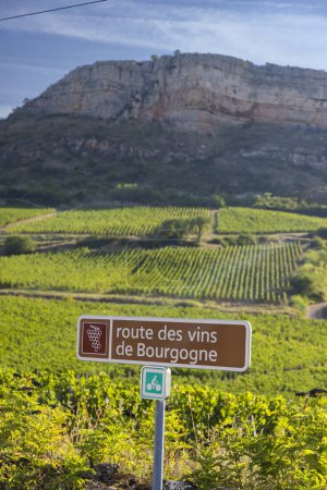 Foto de Ruta del vino cerca de Solutre, Borgoña, Francia - Imagen libre de derechos