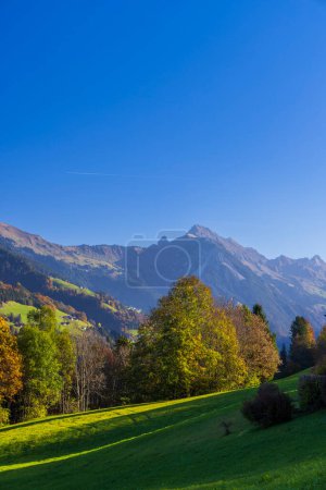 Téléchargez les photos : Paysage typique près de Sankt Gerold and Bludenz, Bregenzer Wald, Bregenz district, Vorarlberg, Autriche - en image libre de droit