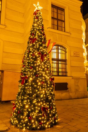 Téléchargez les photos : Christmas treeon street au centre-ville, Vienne, Autriche - en image libre de droit