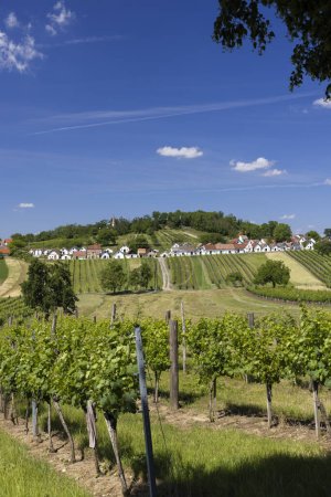 Téléchargez les photos : Traditional wine cellars with vineyard in Galgenberg near Wildendurnbach, Lower Austria, Austria - en image libre de droit
