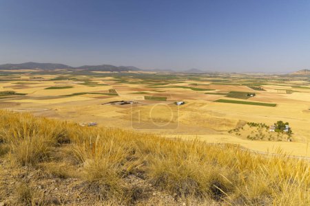 Photo for Landscape of Castilla La Mancha near Consuegra, Spain - Royalty Free Image