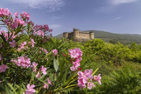 Téléchargez les photos : Château de Mombeltran (Castillo de Mombeltran), Province d'Avila, Castilla y Leon, Espagne - en image libre de droit