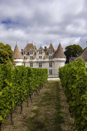 Foto de Castillo de Monbazillac (Chateau de Monbazillac) con viñedo, departamento de Dordoña, Aquitania, Francia - Imagen libre de derechos