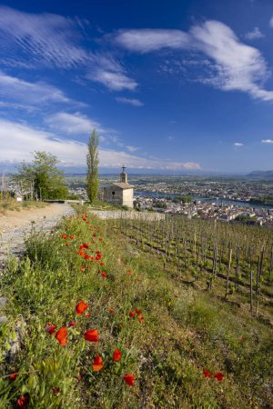 Foto de Grand cru vineyard and Chapel of Saint Christopher, Tain l'Hermitage, Rhone-Alpes, France - Imagen libre de derechos