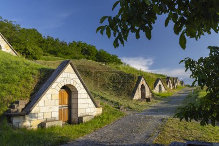 Téléchargez les photos : Broche Gombos-hegyi à Hercegkut, site UNESCO, Grande plaine, Hongrie du Nord - en image libre de droit