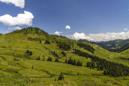 Téléchargez les photos : Paysage alpin typique au début de l'été près de Damuls, Vorarlberg, Autriche - en image libre de droit