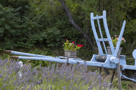 Téléchargez les photos : Chariot en bois bleu avec lavandes en Provence, France - en image libre de droit
