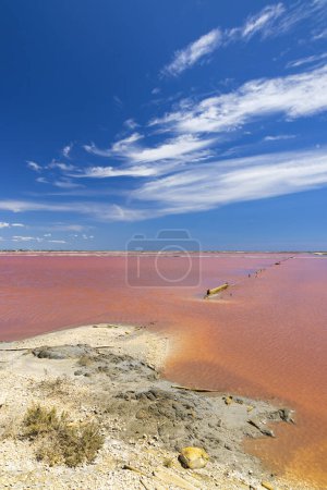 Photo for Salin de Giraud in Camargue region, Provence, France - Royalty Free Image